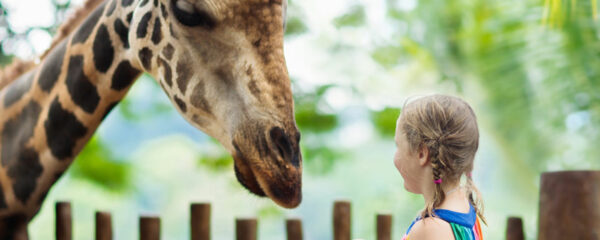 parc animalier clermont ferrand