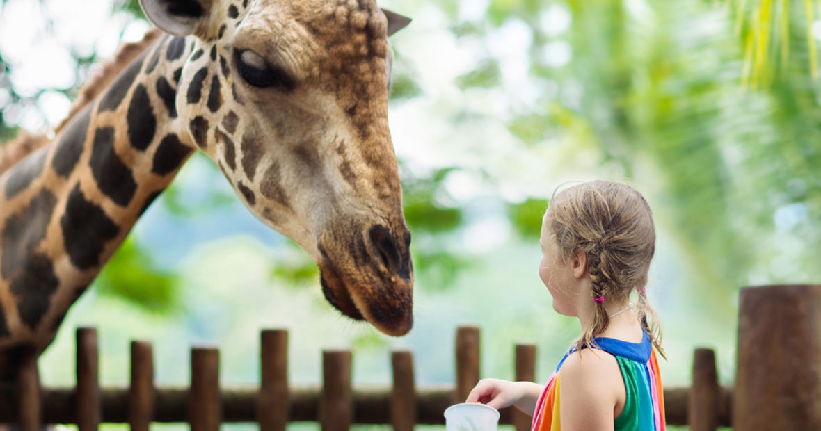 parc animalier clermont ferrand